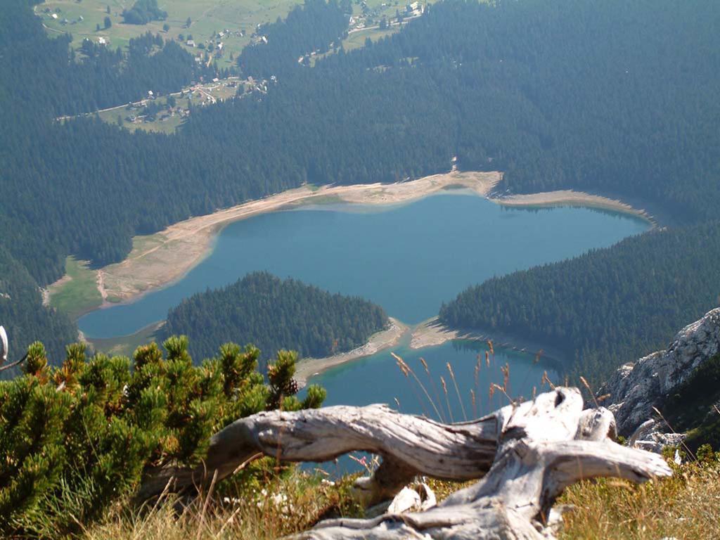 Guesthouse Planinarski Dom Neviden'O Žabljak Dış mekan fotoğraf
