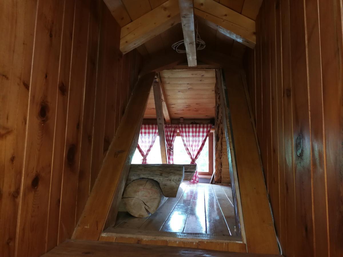 Guesthouse Planinarski Dom Neviden'O Žabljak Dış mekan fotoğraf