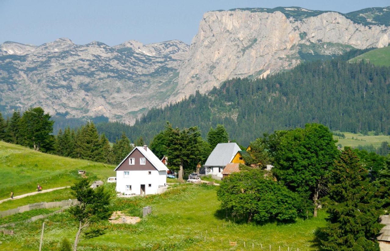 Guesthouse Planinarski Dom Neviden'O Žabljak Dış mekan fotoğraf